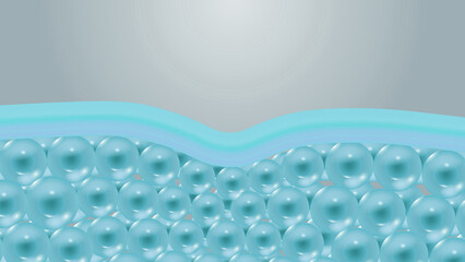 Hydrating Skin Barrier Microscopic View of Cellular Protection