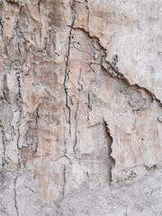 Detailed cracked wall texture with natural tones. Ideal for design projects, backgrounds, and creative use in architecture mockups