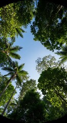 Obraz premium Skyward Gaze - A Canopy of Green and Blue.