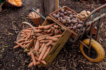 Crate of carrots and beets at rustic outdoor market