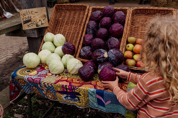 Child red cabbage at a local rustic farmers market