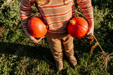 Toddler walking with pumpkins on a sunny day