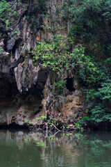 Tasik Cermin, a lake with reflected view of surrounding