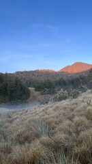 landscape with mountains and lake