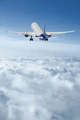 Fotobehang Beren Bright passenger airplane plane flying in sky  © BillionPhotos.com