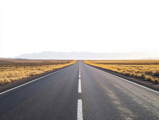 Fototapeta premium A long, straight highway extends through a wide-open landscape. Golden grass lines the road, leading towards distant mountains under a bright sky.