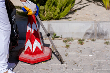 Volunteers collecting garbage from the city streets