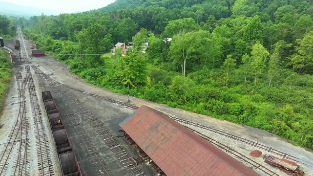 An old train yard is visible among dense green woodland. Rusted train cars sit quietly on tracks, surrounded by emerging vegetation. Nature seems to reclaim the space where trains once thrived.