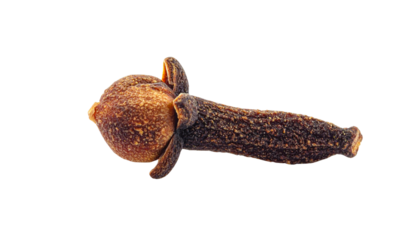 a clove isolated on transparent background