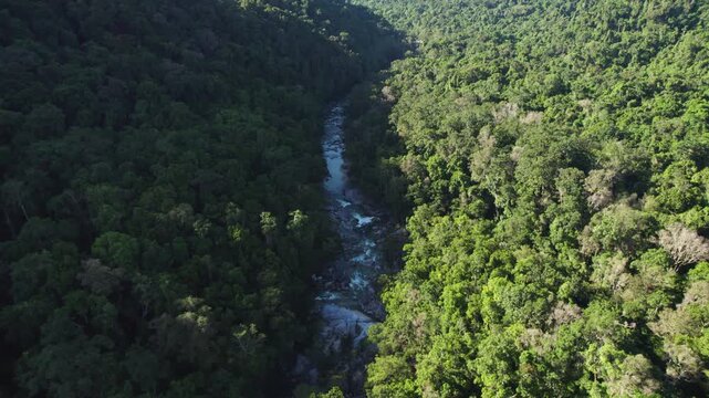 Drone tracking Mossman River through Daintree rainforest, Queensland, Australia