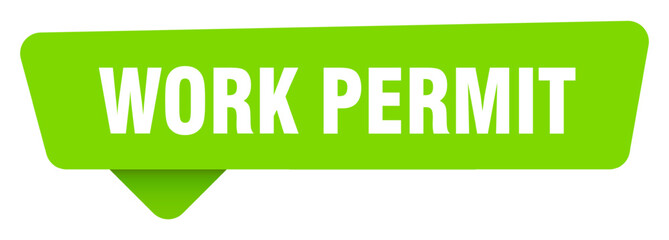 work permit green sign isolated on transpatent background. work permit sticker