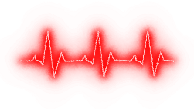 Heartbeat on ECG Vector – Clean Pulse Line Icon Illustration in PNG Format with Transparent Background for Health and Medical Projects