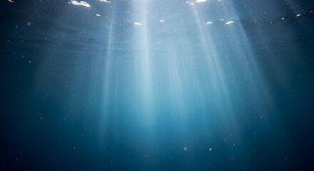 Sunlight streams through the water, creating a beautiful underwater scene with a sense of depth and tranquility.