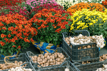 village market rustic retail place with flowers and box of walnut nuts