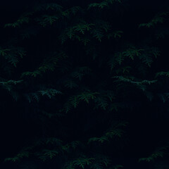 forest in the night