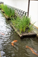 津和野の町並み　養老館跡水路