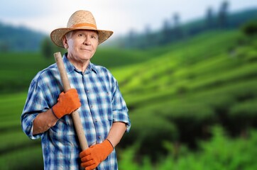 Portrait of senior happy farmer in corn field
