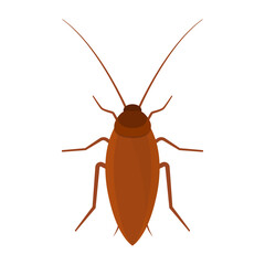 cockroach flat vector design logo icon