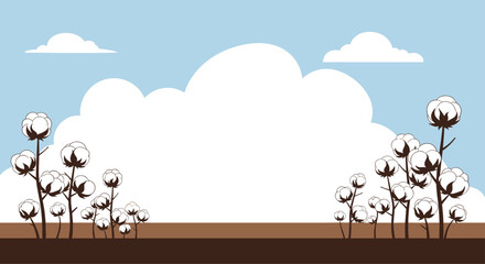 Obraz premium Delightful cotton field under a bright blue sky offers a serene and natural backdrop for textile and agricultural projects, perfect for designers