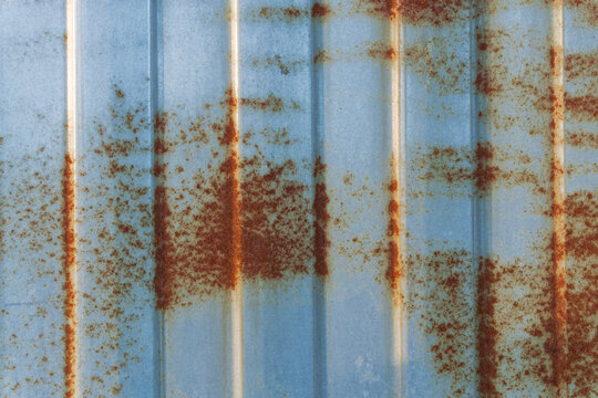 A fragment of a wall made of profiled galvanized iron sheet. Numerous spots of rust are present. Background. Texture. Close-up.