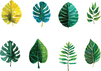 collection of green leaves