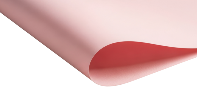 Pink paper curl for a backdrop isolated PNG with Transparent Background