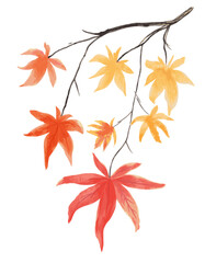 Vector Maple tree branch with red and gold autumn leaves on a white background