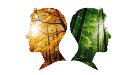 Double exposure of human profiles filled with autumn forest and vibrant green forest imagery Silhouette Head Face Fall Season Orange Yellow Trees Woods transparent background