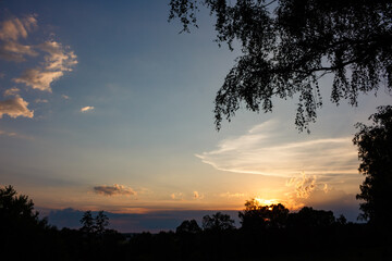 Vibrant summer sunset paints the sky with fiery hues. Silhouetted birch branches frame the radiant...