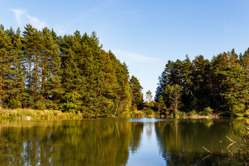 Fototapeta premium Calm forest lake mirrors vibrant green pines under a bright blue sky. A peaceful early autumn landscape, perfect for serene nature views