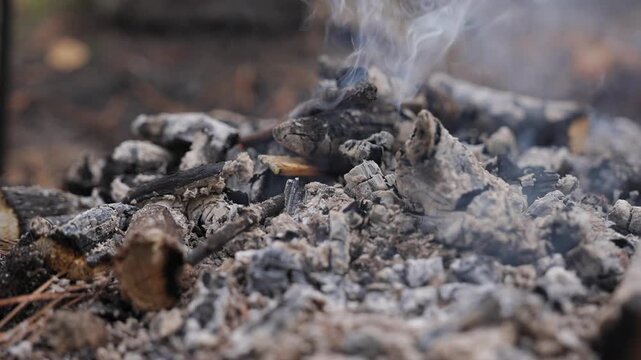 Close-up of smoldering campfire ashes in the forest. Thin smoke slowly rises from burned wood, creating a calm rustic outdoor mood. Autumn leaves and soil visible in soft natural light.