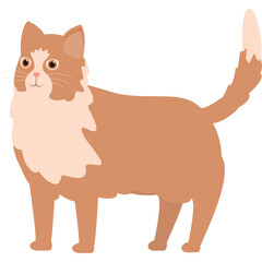 Orange Tabby Cat Standing Facing Left with White Chest and Tail Tip on Transparent Background Simplified Flat Design Illustration