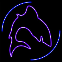 Obraz premium shark neon sign, modern glowing banner design, colorful modern design trends on black background. Vector illustration.