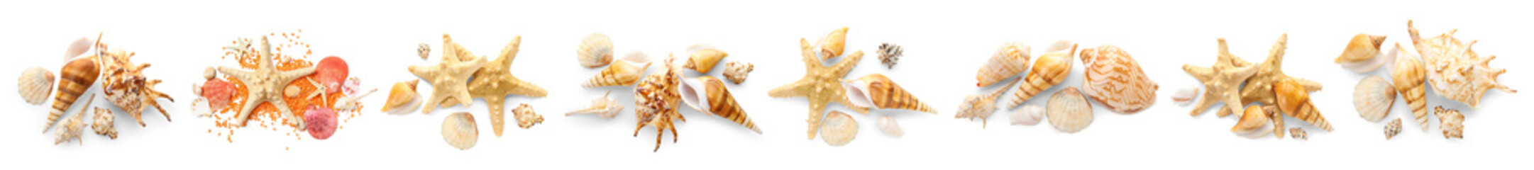 Set of many sea shells on white background, top view