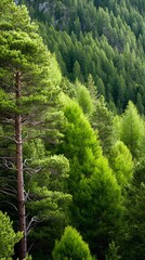 Emerald whispers of alpine pines conjure forest symphonies, invoking Tu BShevat reflections and World Forestry Day meditations