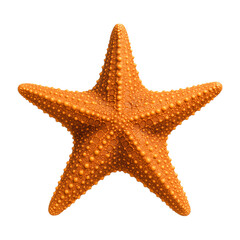 Realistic Orange Starfish Isolated on Transparent Background, Detailed Sea Star Texture for Marine Ocean Design