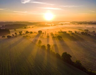 Aerial view of a radiant sunrise over misty fields and trees