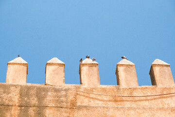 Top of an ancient city wall in Fes, Morocco, with numerous perched birds creating a tranquil yet cinematic scene.