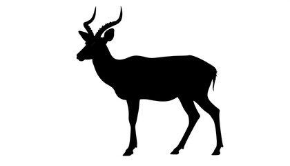 Fototapeta premium Black silhouette of an antelope on a white background