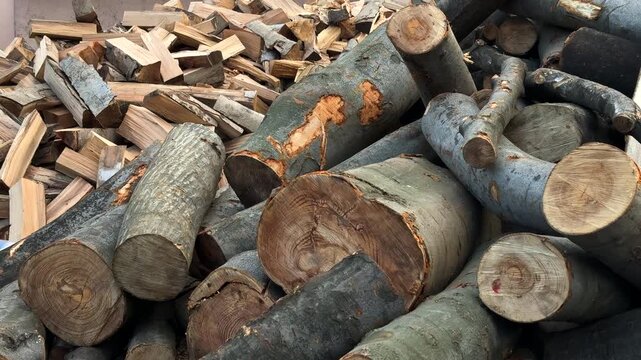 Wide shot of a large pile of freshly cut logs and chopped firewood, symbolizing deforestation, timber production, and the use of natural resources for energy and industry.