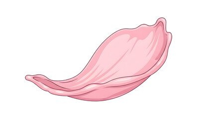 Delicate pink flower petal gracefully floating or gently falling, symbolizing spring, beauty, and transient nature, isolated on a white background, perfect for serene natural designs