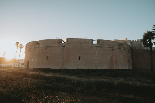Vue des anciennes fortifications de la m&eacute;dina d'Essaouira et  v&eacute;g&eacute;tations tropicale 