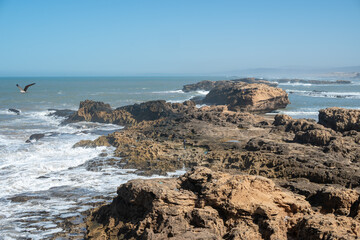 La plage de Essaouira au Maroc au bord de l'océan Atlantique 