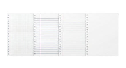 Loose leaf paper sheets with a row of holes isolated PNG with Transparent Background