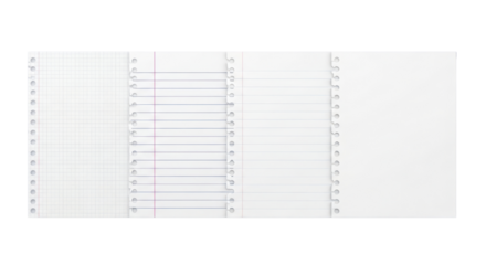 Loose leaf paper sheets with a row of holes isolated PNG with Transparent Background