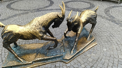 Poznań rzeźba na placu Kolegiackim przedstawiająca koziołki - symbol miasta
