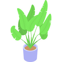 Green Bird of Paradise Plant in a Light Purple Pot with Brown Soil Isolated on Transparent Background Digital Art