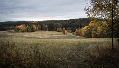 Melancholic autumn landscape with muted colors