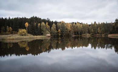 Melancholic autumn landscape with muted colors