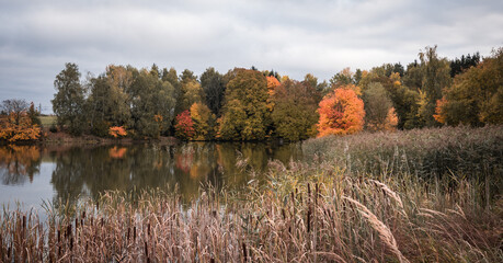 Colorful autumn trees reflected on the water surface